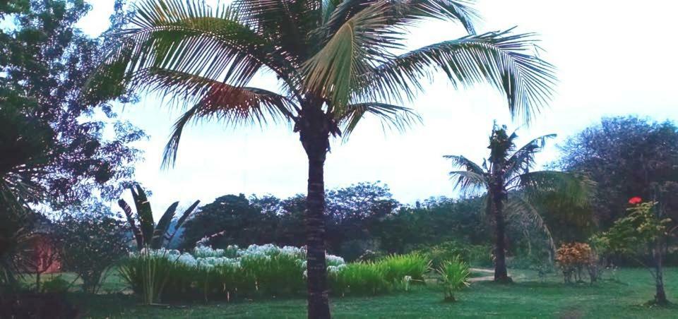 Islandia Beach Resort Siquijor Εξωτερικό φωτογραφία